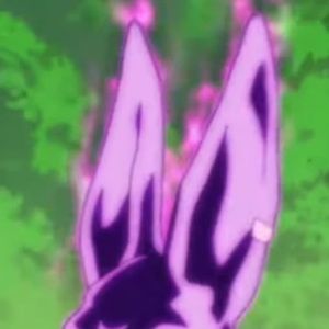 Meet your Posher, Caleb